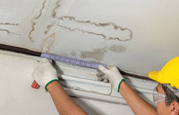 Reliable Structural Drying contractor in Rosebush, MI by Water Damage Irwin
